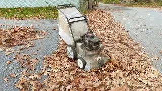 Mowing the Lawn & Even More Leaf Pickup - Late October