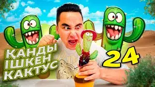 АПКЕША И БРАТИШКА| 24 сезон | ҚАНДЫ ІШКЕН КАКТУС