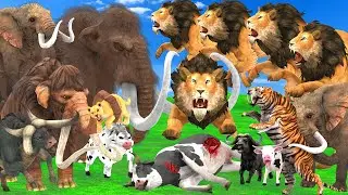 10 Elephants vs 10 Giant Lion Fight Big Bull Cow Cartoon Buffalo Saved By Woolly Mammoth vs Tiger