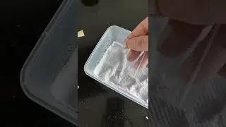ОЖИДАНИЯ ПРОТИВ РЕАЛЬНОСТЬ КУПИЛА СЕМЕНА ЦВЕТОВ 
