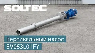 Вертикальный насос SOLTEC ® BV053L01FY для перекачивания щелочной воды