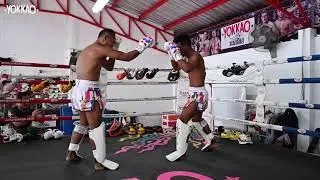 Rodtang Jitmuangnon Vs Saenchai - Muay Thai legends sparring | YOKKAO Training Center in Bangkok.