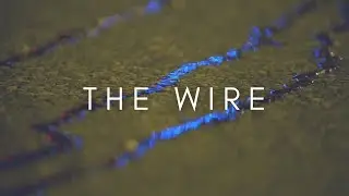 The Beauty Of The Wire