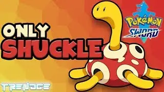 Can you beat Pokemon Sword only using Shuckle?