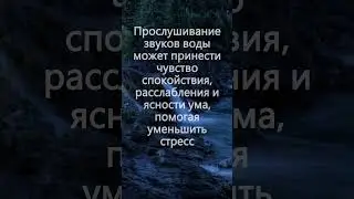 Звуки Воды и Леса: Природная Амбиенция и Пение Птиц для Расслабления, Звуки Природы, Успокаивающий