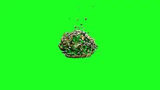 Green-Screen-Gold,Münze,Coin-Destruction