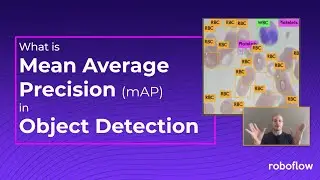 What is Mean Average Precision (mAP)?