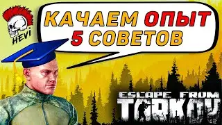 Тарков гайд опыт. Прокачка уровня. Escape from Tarkov.