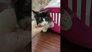 Поездка в клинику. Помощь для нас актуальна. 
