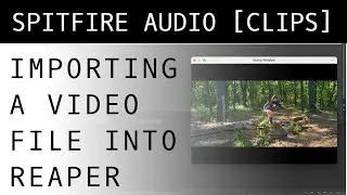 How to Import and Export Video Files in Reaper