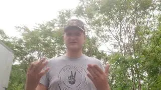 для чего нужен трутень?