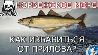 🌟НОРВЕЖСКОЕ МОРЕ🌟В ОСНОВНОМ КЛЮЁТ ПОЛЛАК🌟Русская Рыбалка 4(РР4)🌟