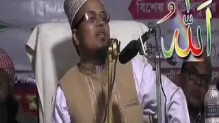 হাফেজ মাও মাহমুদুল হাসান বাবু