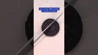 Is It Cake, Or OREO?