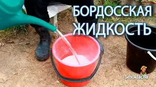 Как приготовить бордоскую жидкость