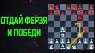 Жертва ферзя ради мата шахматы ловушки