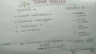 Tongue Anatomy | Part 1 | Muscles and Nerve Supply | The Charsi of Medical Literature