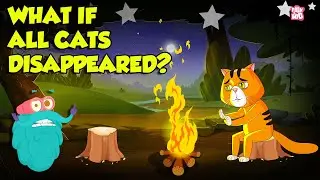 World Without Cats!! | What if All Cats Disappeared? | What If There Were No More Cats? | Dr. Binocs