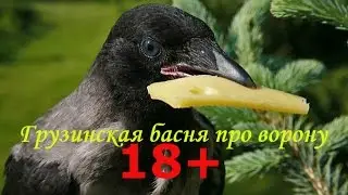 18+ Грузинская басня про ворону