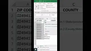 Geography Data from Zip Codes in Excel?🔥 #shortsfeed