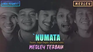 NUMATA - Pesona | Begini Begitu | Raja Jatuh Cinta (Medley Cover By Iyonk)