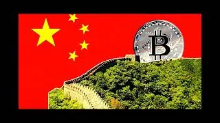 Degen Chain’s Significant Disruption Causes Prolonged Block Production Halt