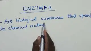 Enzymes - characteristics and factors effect enzymes.