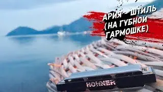 Ария - Штиль Денчик Blog( на губной гармошке )