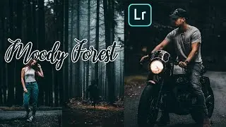 Lightroom Mobile Presets Free Dng 2022 | Lightroom mobile Preset Tutorial |How to Edit Moody Forest