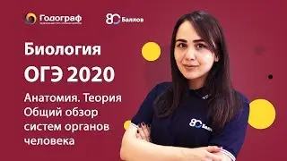 ОГЭ по Биологии 2020. Человек и его здоровье. Общий обзор систем органов организма человека