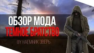 ТЕМНОЕ БРАСТВО В STALKER! Обзор мода