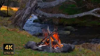 Cozy Campfire by the River in 4K UltraHD | 3 Hours of Gentle Crackling Fire Sounds