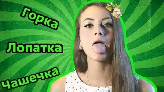 Артикуляционная ГИМНАСТИКА | Лопатка| Чашечка| Горка