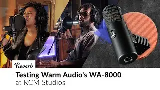 Warm Audio WA-8000: Peter CottonTale & Rachel Robinson at RCM Studios