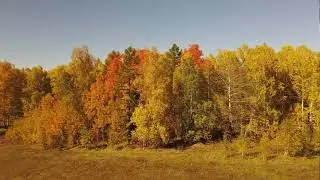 Золотая осень