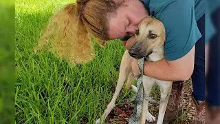 He waited too long and cried when the grandparents stopped the car to help him
