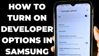 How To Turn On Developer Options in Samsung