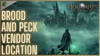 Hogwarts Legacy Brood and Peck Vendor Location