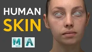 How To Create Realistic Skin Shader Basic In Maya With Arnold