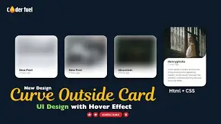 New Design | CSS Curve Outside Card UI Design with Hover Effect | Animated Cards