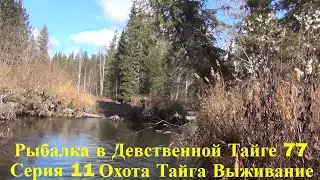 Таежная речка Серия 11 Рыбалка в Девственной Тайге 77 Тайга Охота Поход Выживание Лес Сибирь Медведь