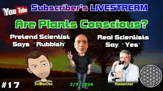 ▶️Subscribers Livestream #17▶️ Are Plants Conscious? Is Scimandan an idiot? Mind-Blowing Tree Videos