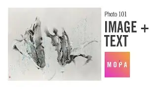 Photo 101: Image + Text