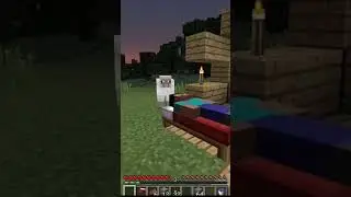 овечка стала Стивом #minecraft #майнкрафт #mem