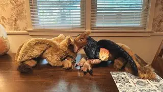 Comparing and reviewing the 2023 Folkmanis Griffin Hand Puppet