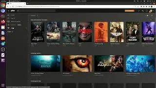 Get The Best Plex Media Server Support