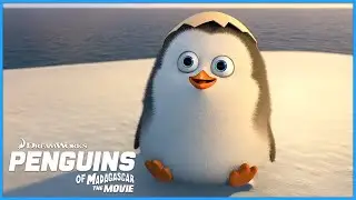 The Best of Penguin Private | DreamWorks Madagascar