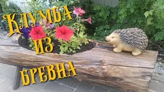 Клумба из бревна своими руками. Как создать украшение для вашего участка. DIY