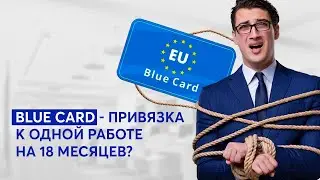 Главные заблуждения иностранцев о Blue card в Польше | 2023.