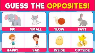 Guess the Opposite Word | 30 Antonyms Every Kid Should Know